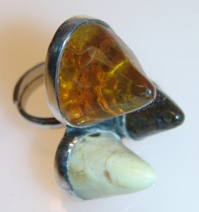 6I2011 009a (1)